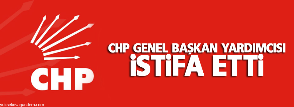 CHP Genel Başkan Yardımcısı istifa etti