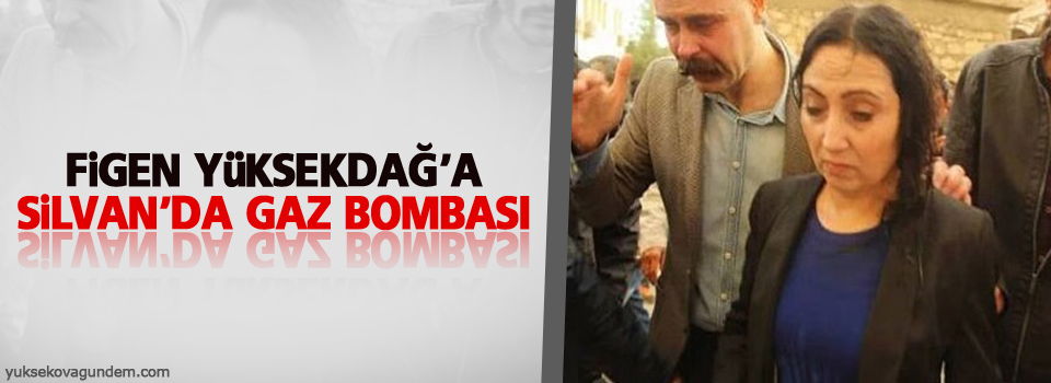 Figen Yüksekdağ'a Silvan'da gaz bombası