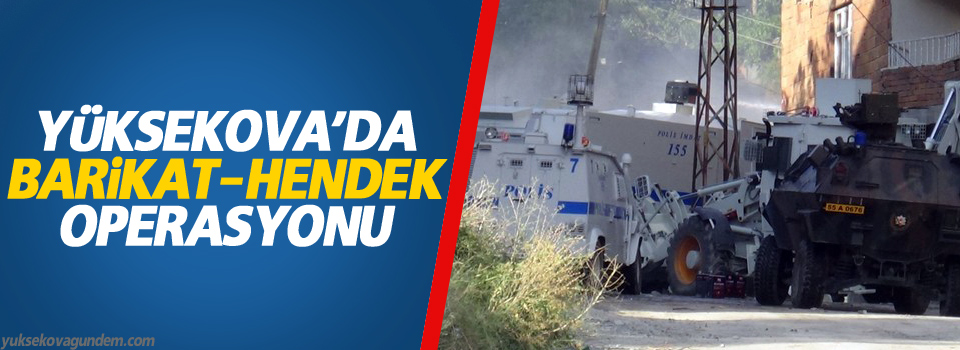Yüksekova'da operasyon