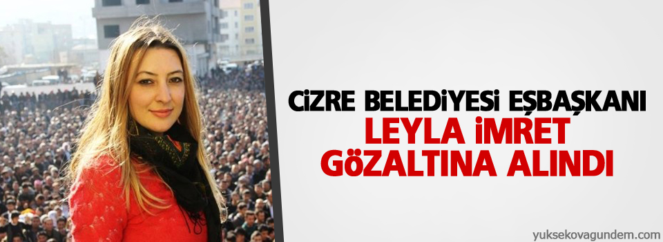 Cizre Belediyesi Eşbaşkanı Leyla İmret, gözaltına alındı