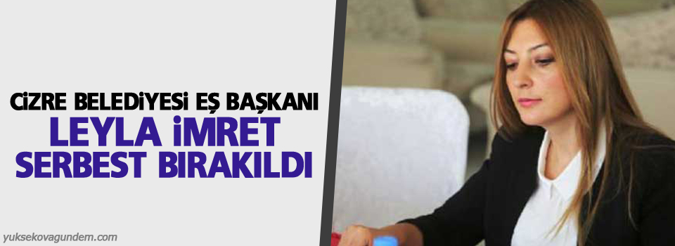 Cizre Belediyesi Eş Başkanı Leyla İmret, serbest bırakıldı