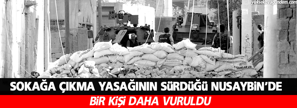 Nusaybin’de bir kişi öldürüldü