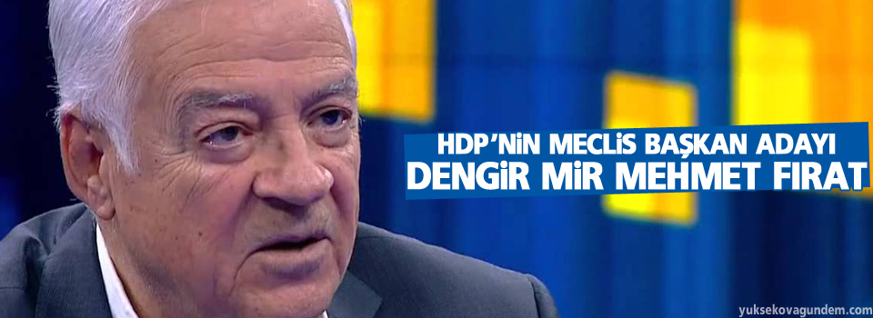 HDP’nin Meclis Başkan adayı Mehmet Fırat