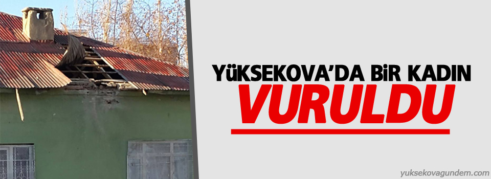 Yüksekova'da bir kadın vuruldu