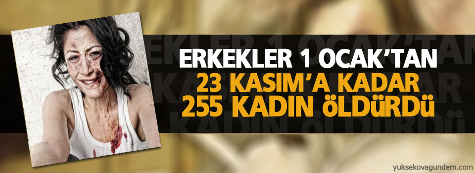 Erkekler 1 Ocak’tan 23 Kasım’a kadar 255 kadın öldürdü