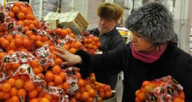 Rusya'dan Türkiye'ye 'ithalat' kısıtlaması: Sebze-meyve de yasak kapsamında