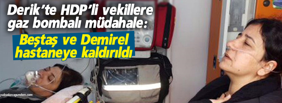 Derik’te HDP’li vekillere gaz bombalı müdahale: vekiller hastaneye kaldırıldı