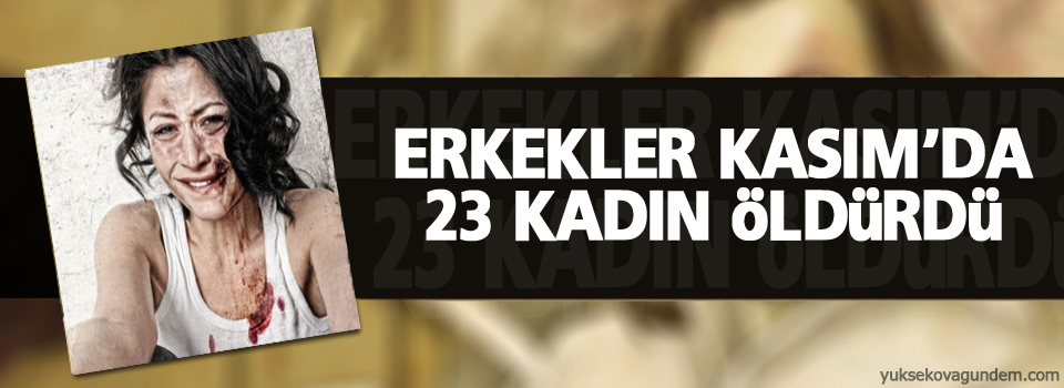 Erkekler Kasım’da 23 kadın öldürdü