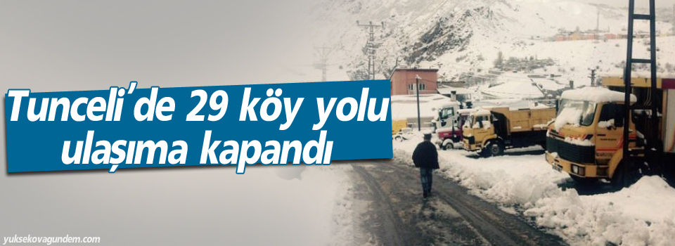 29 köy yolu ulaşıma kar nedeniyle kapandı