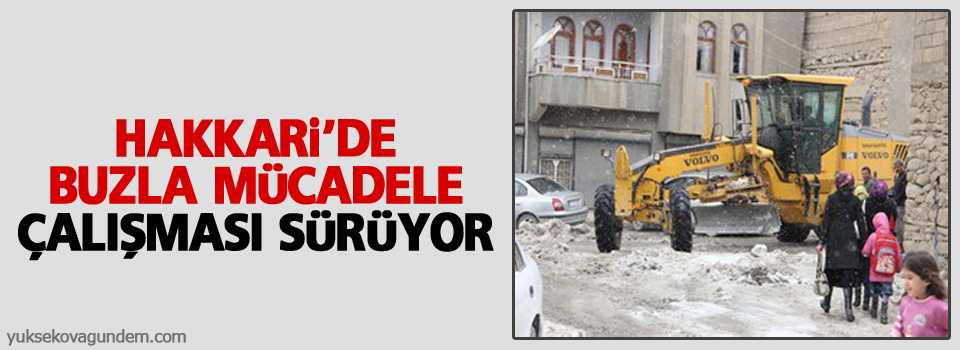 Hakkari'de buzla mücadele çalışması sürüyor