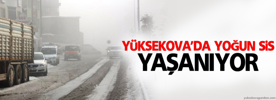 Yüksekova'da yoğun sis yaşanıyor