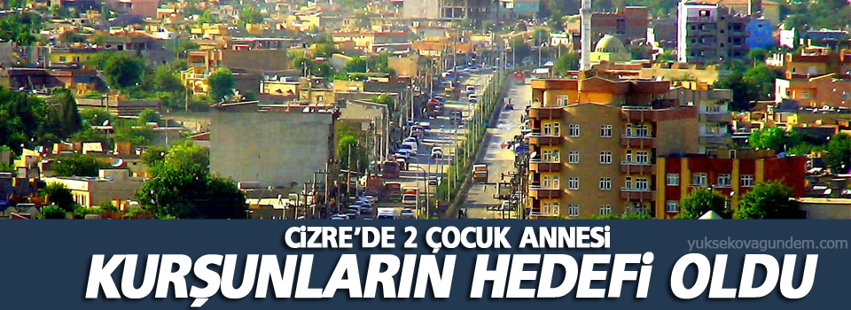 Cizre'de 2 çocuk annesi kurşunların hedefi oldu