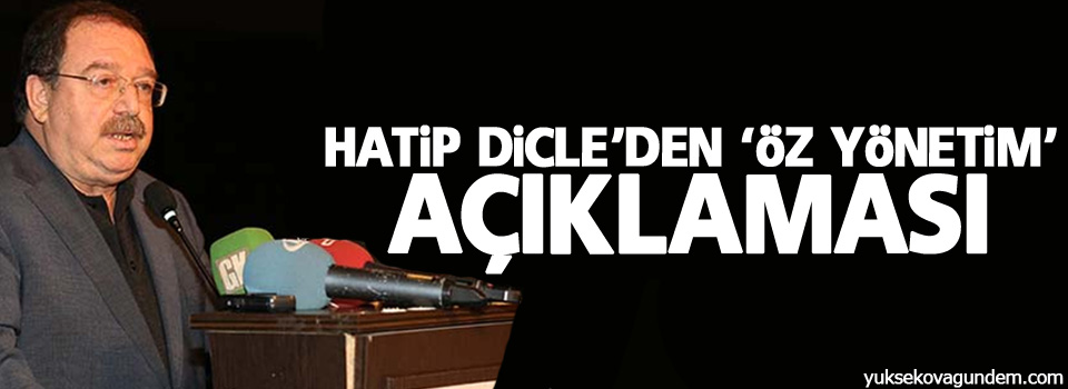 Hatip Dicle'den 'öz yönetim' açıklaması