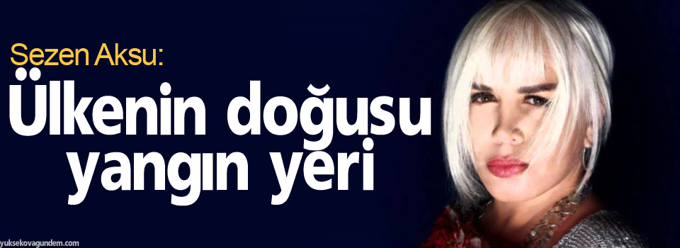 Aksu: Ülkenin doğusu yangın yeri