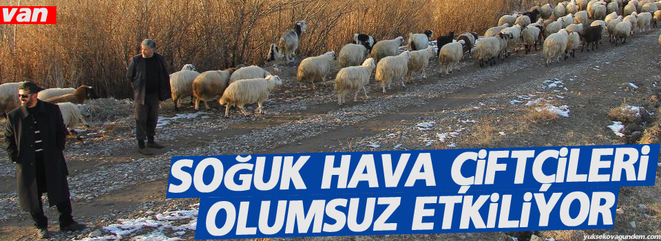 Soğuk hava çiftçileri olumsuz etkiliyor