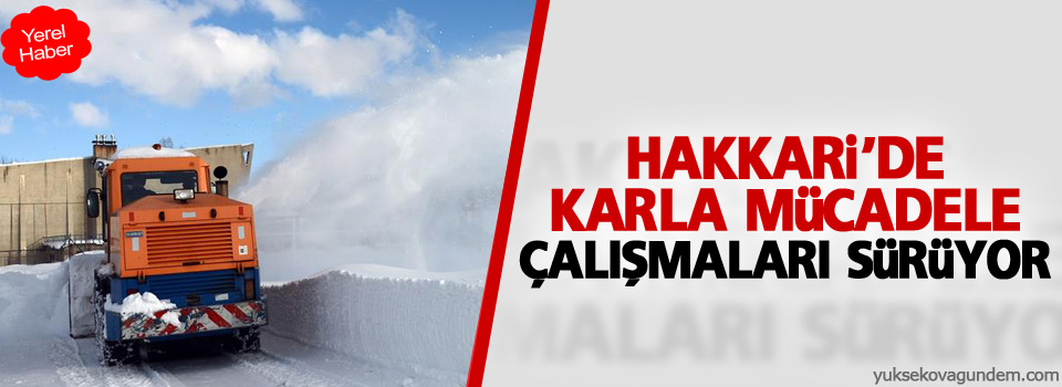 Hakkari'de karla mücadele çalışmaları sürüyor