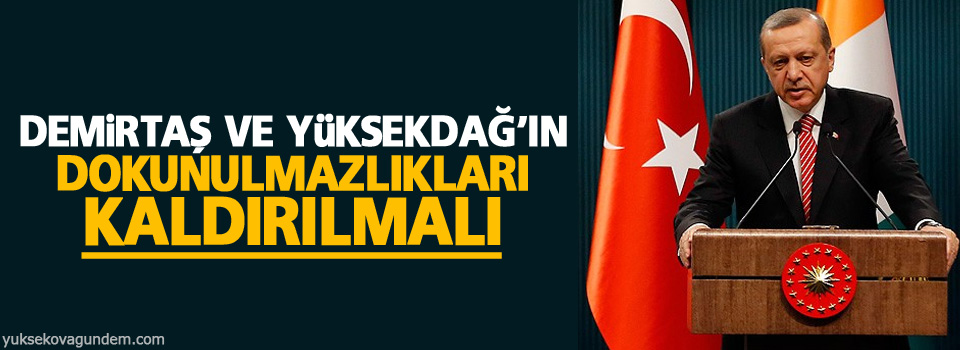 Erdoğan: Demirtaş ve Yüksekdağ’ın dokunulmazlıkları kaldırılmalı