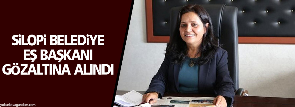 Silopi Belediye Eş Başkanı gözaltına alındı