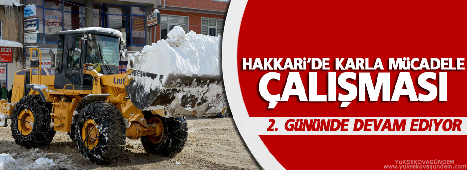 Hakkari'de karla mücadele çalışması