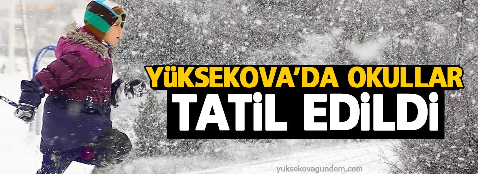 Yüksekova'da okullar tatil edildi