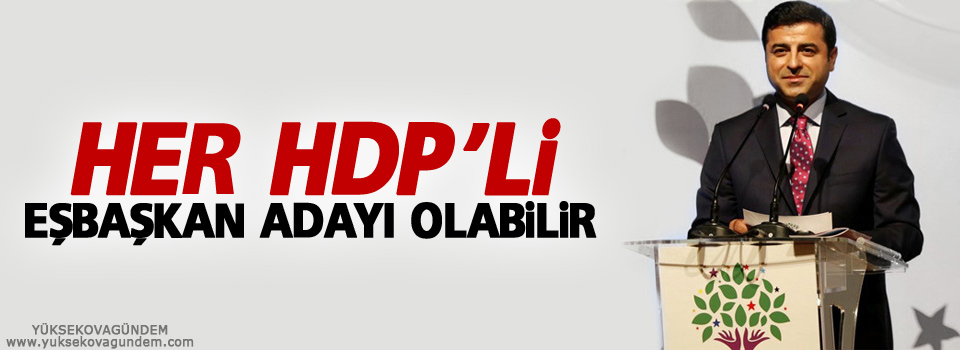 ‘Her HDP’li eşbaşkan adayı olabilir’