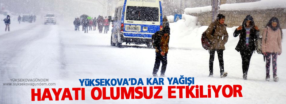 Yüksekova'da kar yağışı hayatı olumsuz etkiliyor