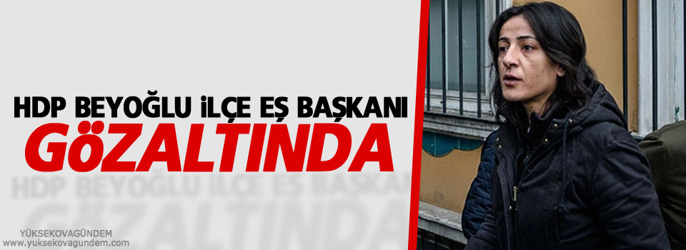HDP Beyoğlu İlçe Eş Başkanı gözaltında