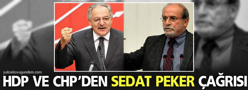 HDP ve CHP’den Sedat Peker çağrısı