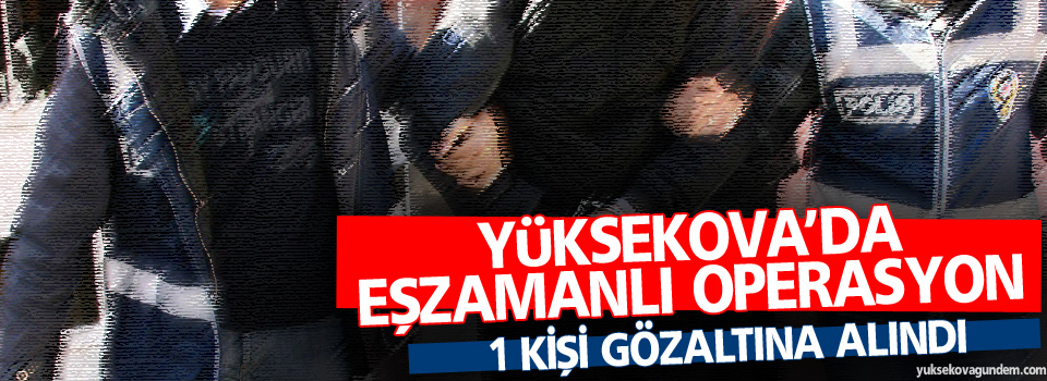 Yüksekova'da eşzamanlı operasyon: 1 gözaltı