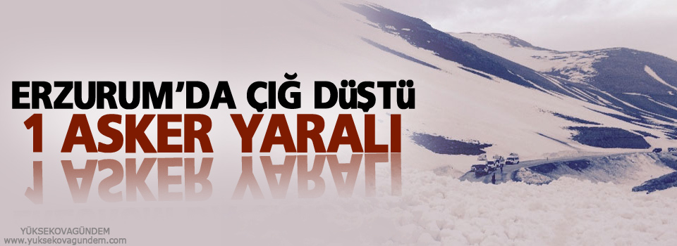 Erzurum'da çığ düştü: 1 asker yaralı