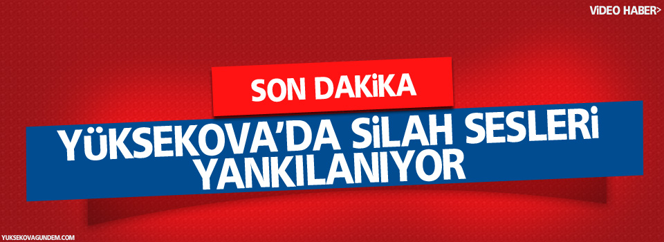 Yüksekova'da silah sesleri yankılanıyor