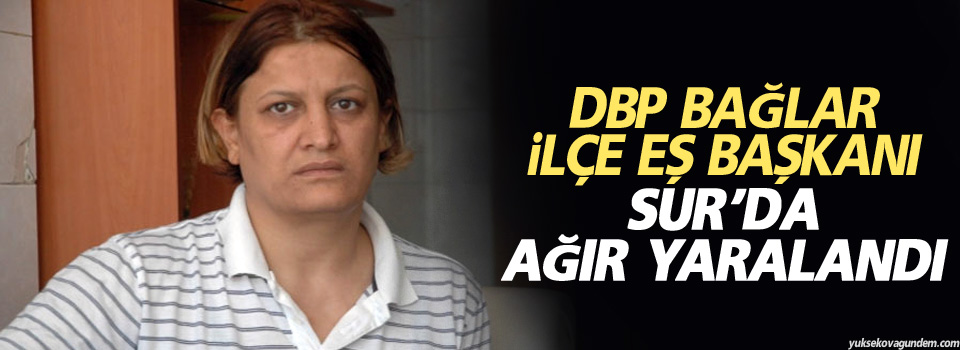 DBP Bağlar İlçe Eş Başkanı Sur’da ağır yaralandı