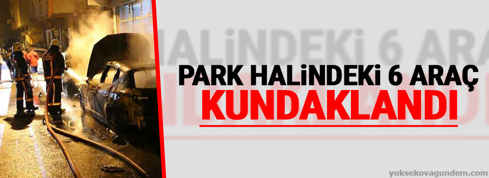 Park halindeki 6 araç kundaklandı