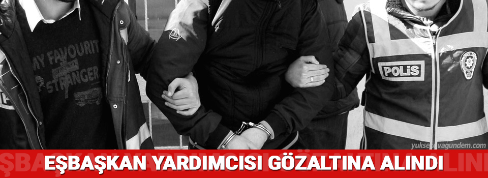 Erciş Belediye Eşbaşkan Yardımcısı Gözaltına Alındı