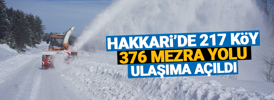 Hakkari’de 217 köy 376 mezra yolu...