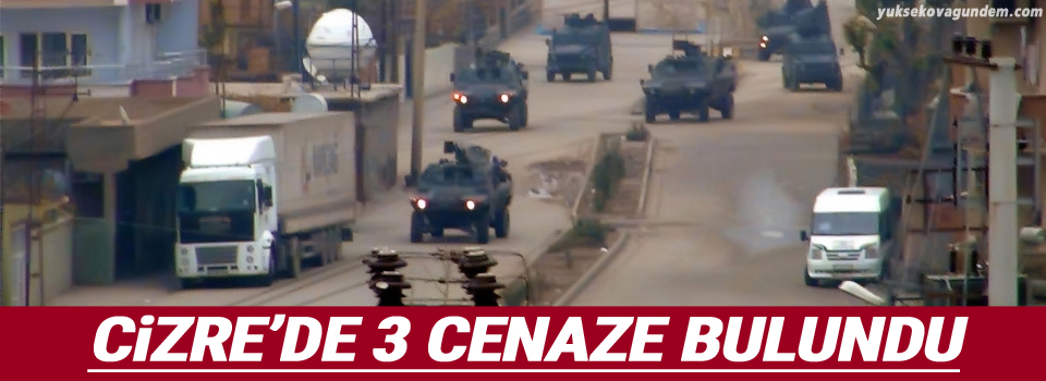 Cizre'de 3 cenaze bulundu