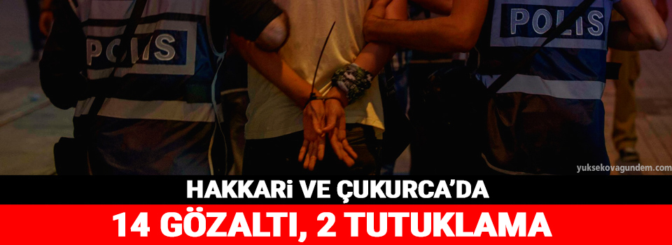 Hakkari ve Çukurca'da 14 gözaltı, 2 tutuklama