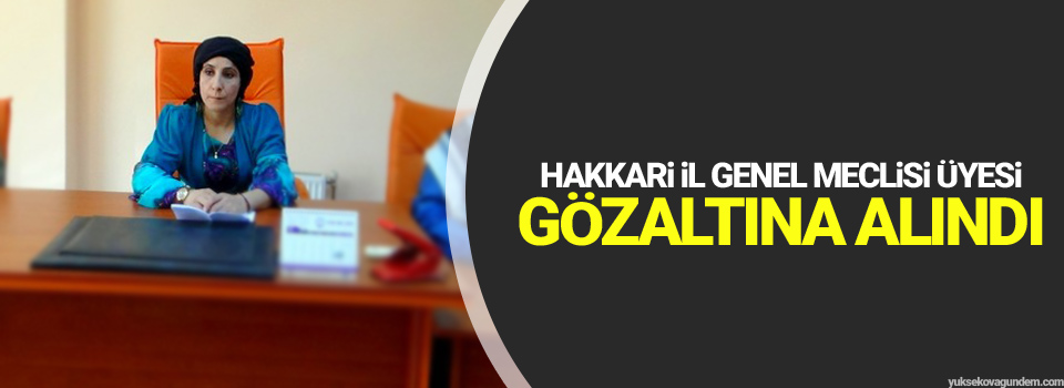 Hakkari İl Genel Meclisi üyesi İliş gözaltına alındı