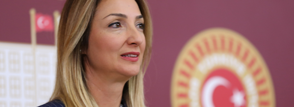 CHP’de Aylin Nazlıaka’nın itirazına ret