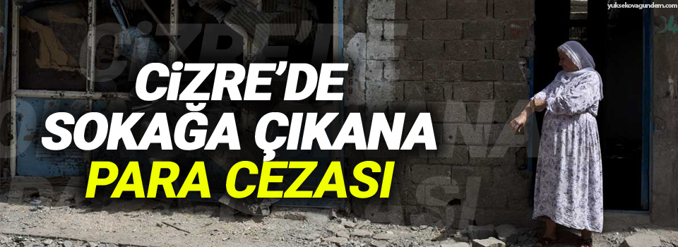 Cizre'de sokağa çıkan vatandaşlara 219 lira para cezası