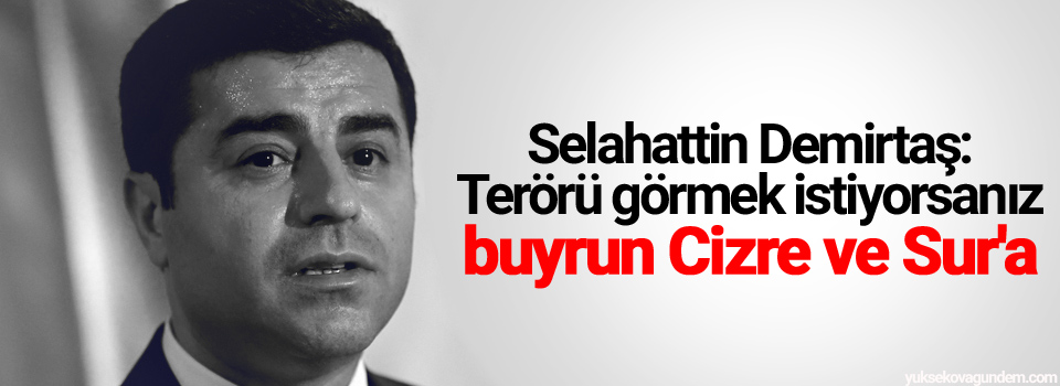 Demirtaş: Terörü görmek istiyorsanız...