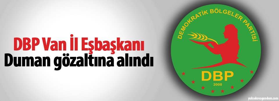DBP Van İl Eşbaşkanı Duman gözaltına alındı