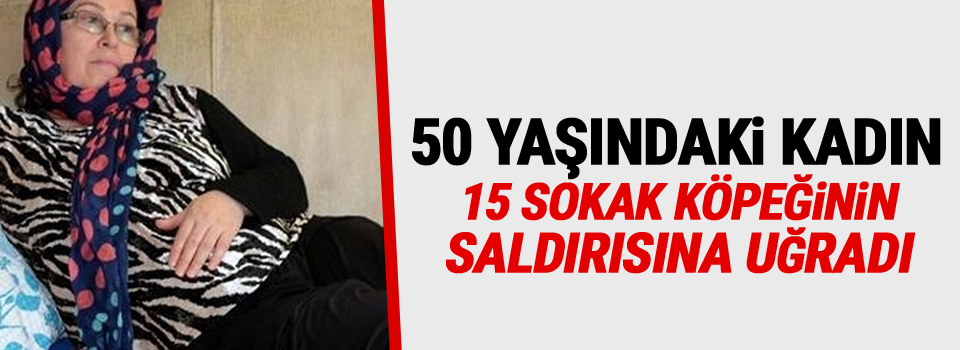 50 yaşındaki kadın 15 sokak köpeğinin saldırısına uğradı