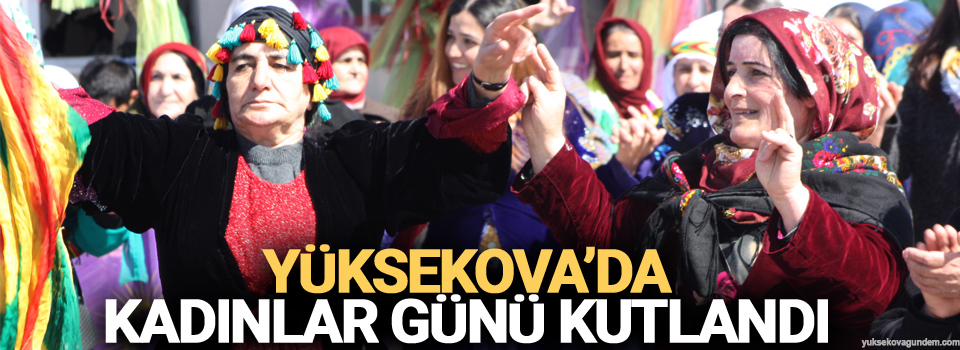 Yüksekova'da kadınlar günü kutlandı