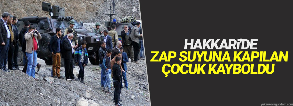 Hakkari'de Zap deresine düşen çocuk kayboldu