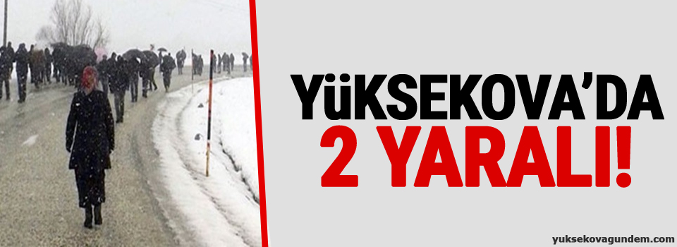 Yüksekova'da 2 kişi yaralandı