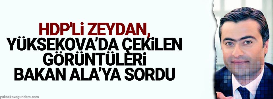 HDP'li Zeydan, Yüksekova'daki o görüntüleri Bakan Ala'ya sordu