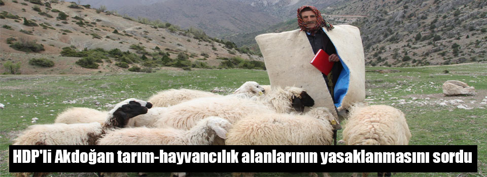 HDP'li Akdoğan tarım-hayvancılık alanlarının yasaklanmasını sordu