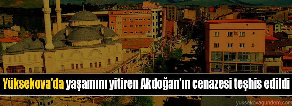Yüksekova'da yaşamını yitiren Akdoğan'ın cenazesi teşhis edildi