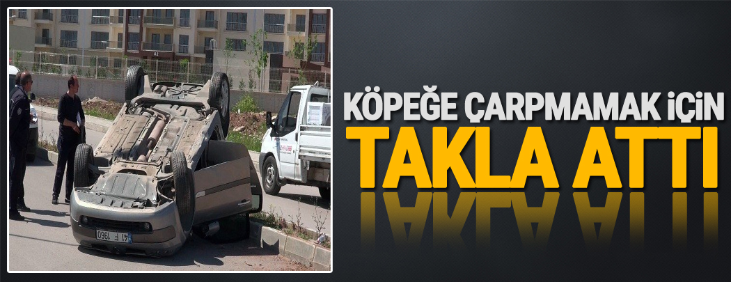 Köpeğe çarpmamak için takla attı!